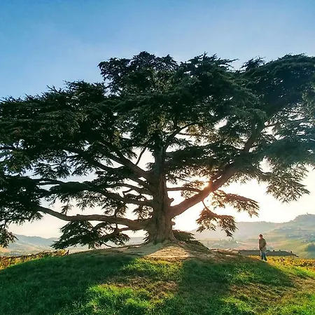 Agrisuite Il Cedro * La Morra