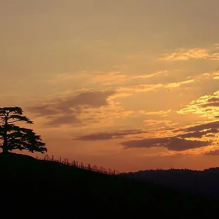 Appartement Agrisuite Il Cedro *