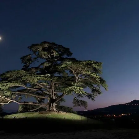 Agrisuite Il Cedro Appartement