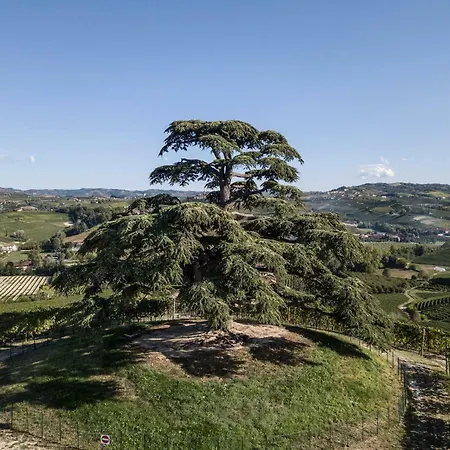 Agrisuite Il Cedro